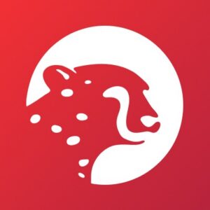 Sokin Logo